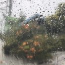발한로(A) 이미지