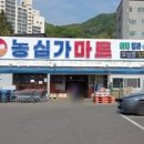 농심가마트 이미지