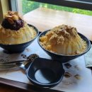 설빙대구수목원점 이미지