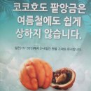 코코호도목동점 이미지