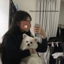이훈ALL30000헤어 이미지