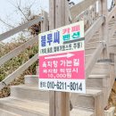 욕지도펜션블루씨 이미지