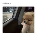 2023 하반기에 전해보는 근황.