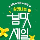 데이지주 이미지