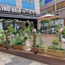 지노헤어 이미지