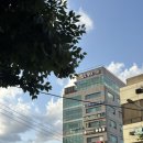 동해선거제해맞이역 | 왈왈랜드 | 부산시청 도심 100평대 테라스 애견카페