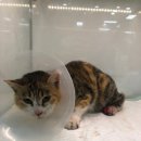 성곡초등학교 이미지