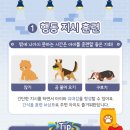 제인동물병원 네이버블로그