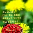 호암상이 먼저 알아 봤어요 이미지