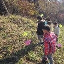 시립별숲어린이집 이미지