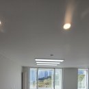 우성동백 이미지