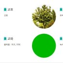 소안초등학교1 이미지