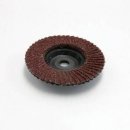 해바라기 헤어라인 이미지