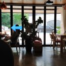 코에코에(COECOE) 이미지