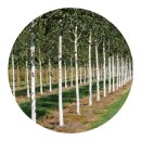 자작농장 이미지