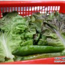 마라돈왕주먹고기