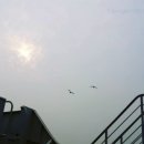 신도펜션 이미지