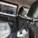 펫이동서비스 이미지