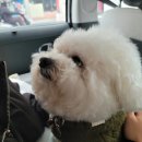 제주의 시간은 느리다 이미지