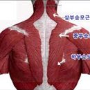 태웅PT 이미지