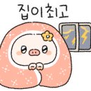 호노골캠핑장 이미지
