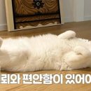 벽산1단지 이미지