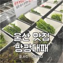 팜팜대패화봉점