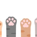 온누리약국 이미지