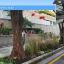 뚝섬한강공원-91 이미지