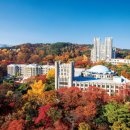 경희사이버대학교 문화창조대학원 이미지