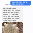 다연재