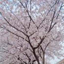 나주종합스포츠파크 건너편 이미지