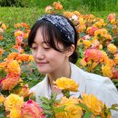 챔버(꽃의 내부) | 부산 해운대수목원 장미원 개화 만발, 5월 말 방문 후기🌹