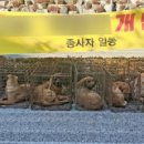 원문농장 이미지