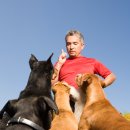 도그 위스퍼러 (Dog Whisperer) 7월 방송 확정! 이미지