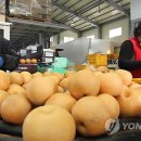 하나로수산동 이미지