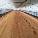 새동네농장 이미지