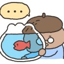 디배따(DIBETTA)