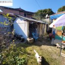 대전대공인중개사사무소 앞 이미지