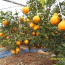 운암농장 이미지