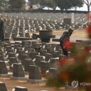 제주 memory 이미지