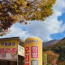 밀양얼음골청국장 이미지