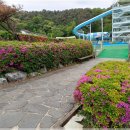 로만빙수 | 용인에서 아이와 함께 즐길 수 있는 찜질방 로만바스 후기