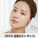 아그네스