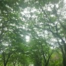 대구 팔공산 루프탑이 예쁜 카페#드롭탑 팔공산진갤러리점#