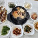 [통영 맛집] 맛있는식당 | 통영 봄 제철음식 도다리쑥국 맛집 내돈내산