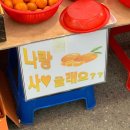 파스텔리아 이미지