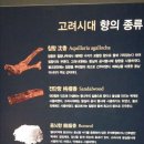 향도 Daum카페