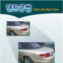 덴트 - 사상구 가야대로 150 | 덴트