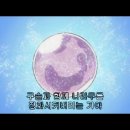 이누야샤 완결편 - 2 이미지